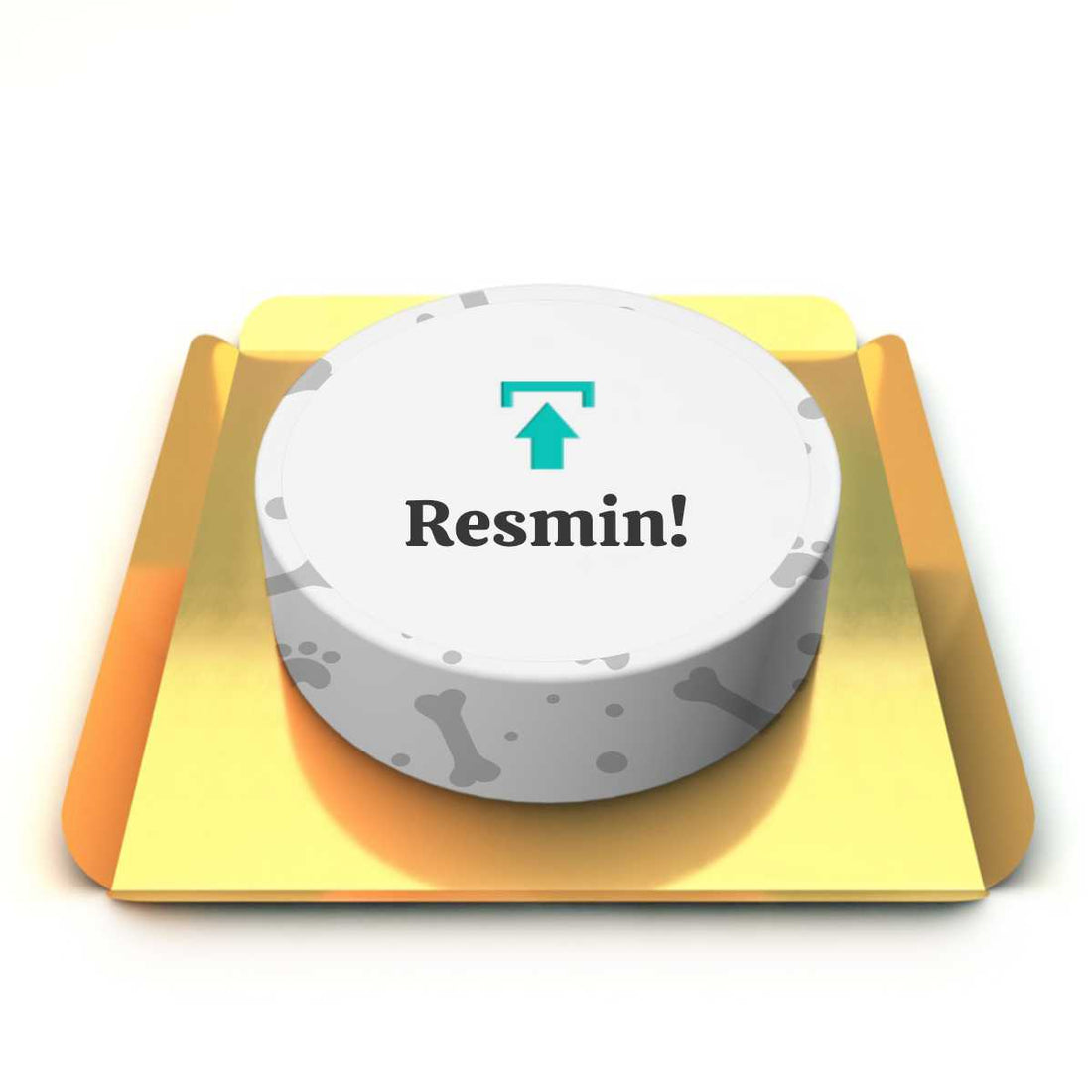 Resimli köpek pastası