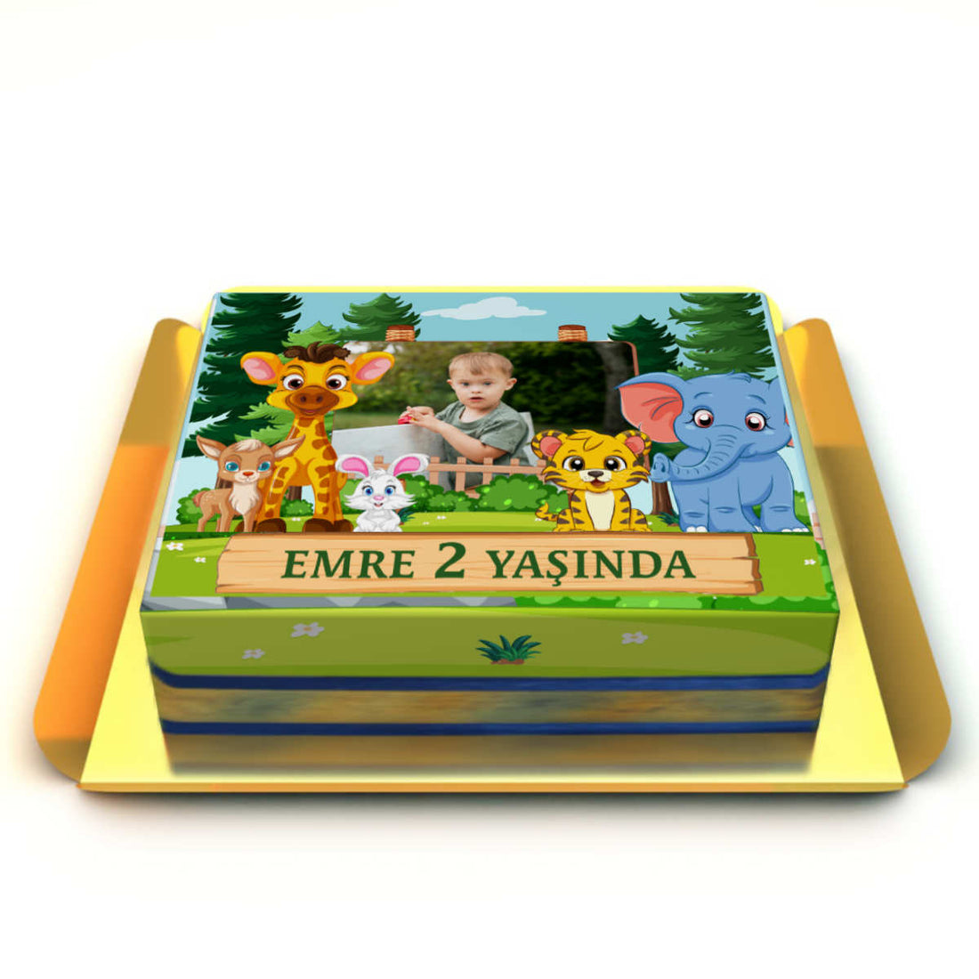 Kişiye Özel Safari Pastası