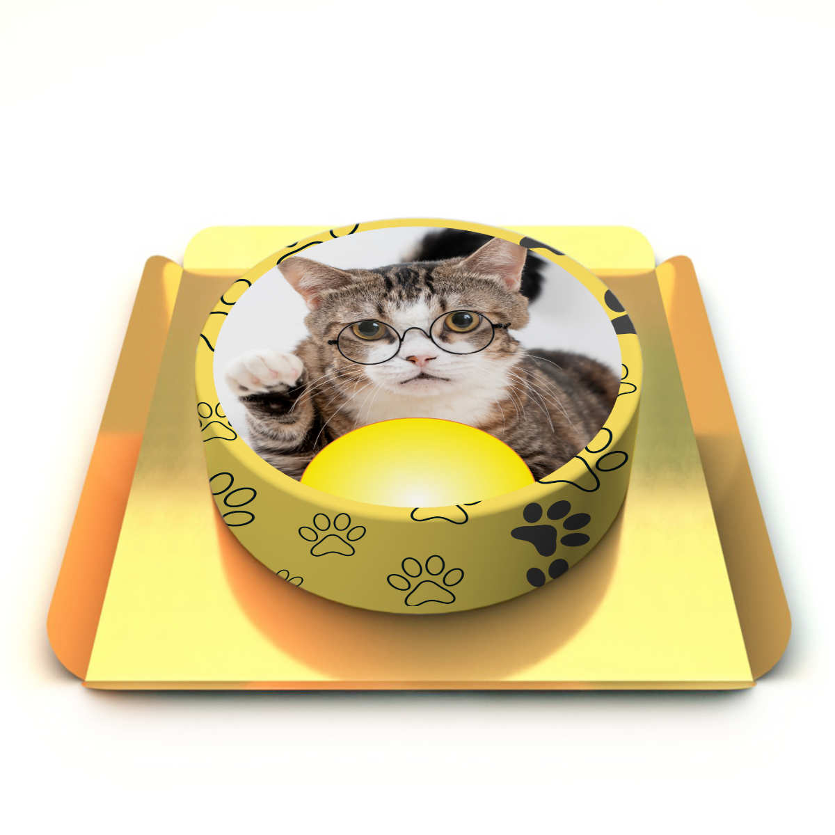 Akıllı Kedi Pastası