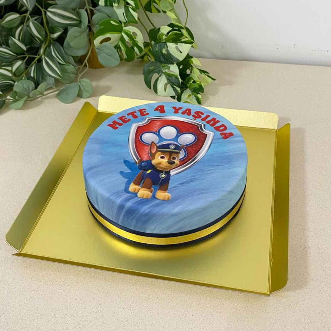 Paw Patrol Çocuk Doğum Günü Pastası