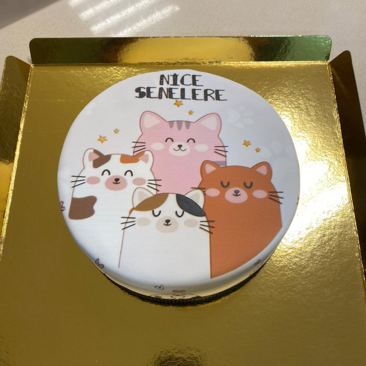 Sevimli Yaramaz Patiler Pastası